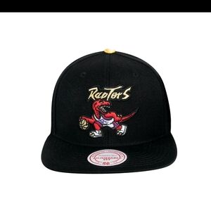 Men's Toronto Raptors Mitchell & Ness Gold Tip Black/Black NBA Snapback Cap Hat
